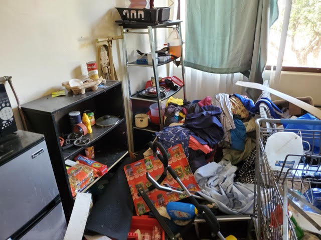 cleanout services
